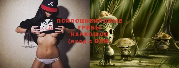 хмурый Алексин