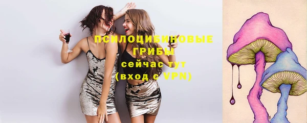 эйфоретик Абаза