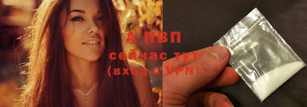 хмурый Алексин