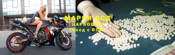 хмурый Алексин