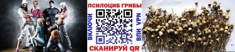 наркошоп  мега ССЫЛКА  Галлюциногенные грибы прущие грибы  Бийск 